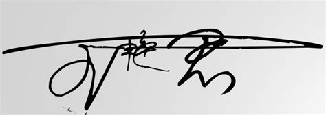 王艳艺术签名