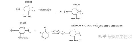 环己酮和seo2反应是什么