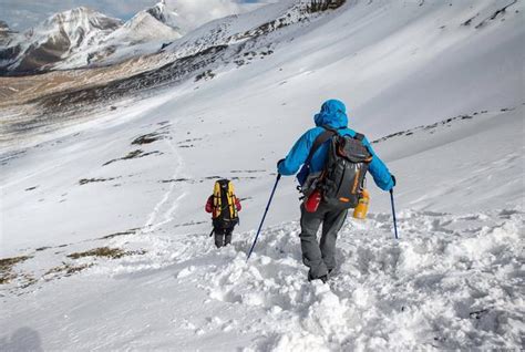 珠峰被救女子登山公司承担救援费