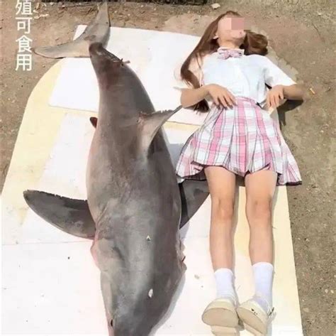 百万粉丝网红博主疑烹食噬人鲨