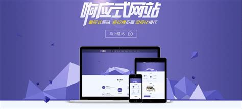 益阳网站推广方案公司