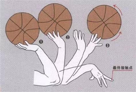 篮球的基本的动作