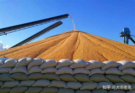 粮食运动粘度与小麦陈化