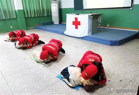 红十字急救知识培训考题