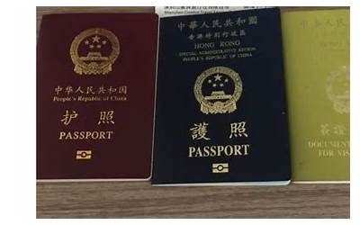 缅甸电子签证申请步骤(缅甸电子签证申请步骤视频)