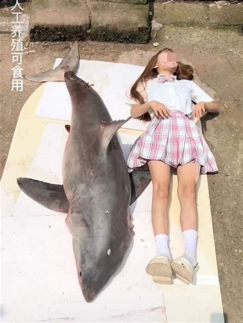 网红烹食大白鲨判多少年