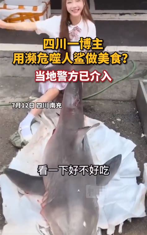 网红烹食大白鲨被查