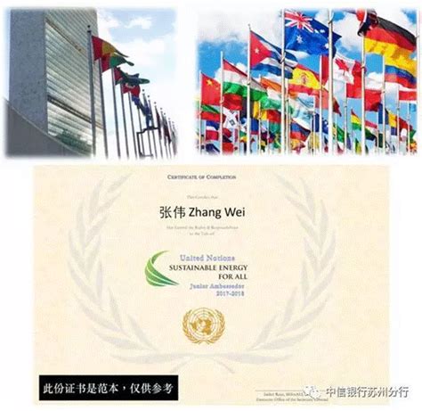 联合国外交证书