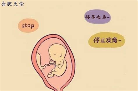 胎儿多少周容易胎停