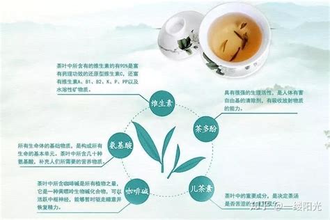茶的养生功能有哪些