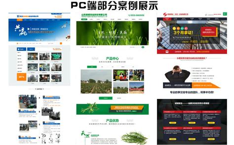 菏泽网站推广系统公司