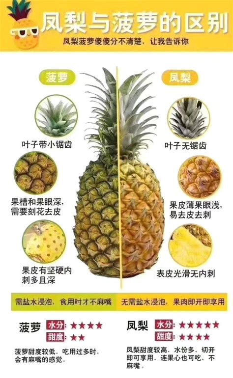 菠萝和凤梨区别