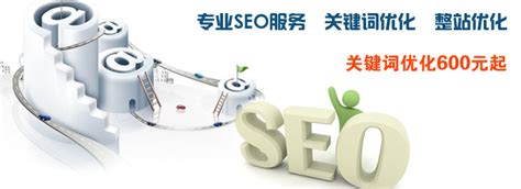 萍乡seo网站开发技术