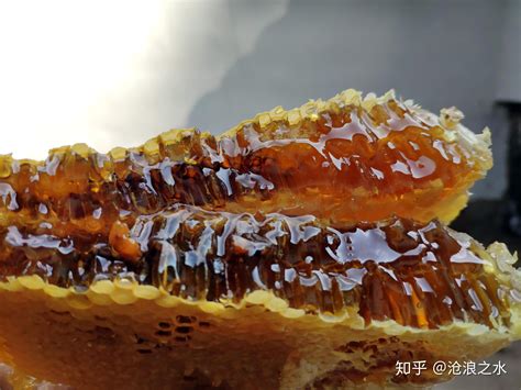 蜂蜜在网上推广