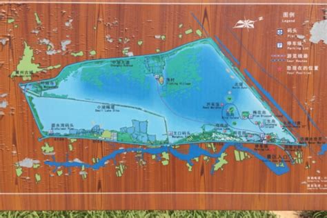 衡水湖地图