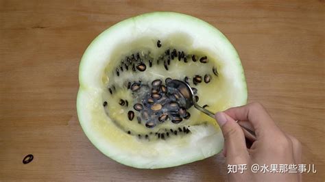西瓜子是夏天常吃的西瓜里的籽吗