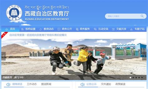 西藏自治区百度网站推广