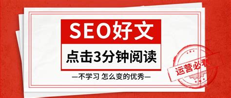 规模大的seo网站排名