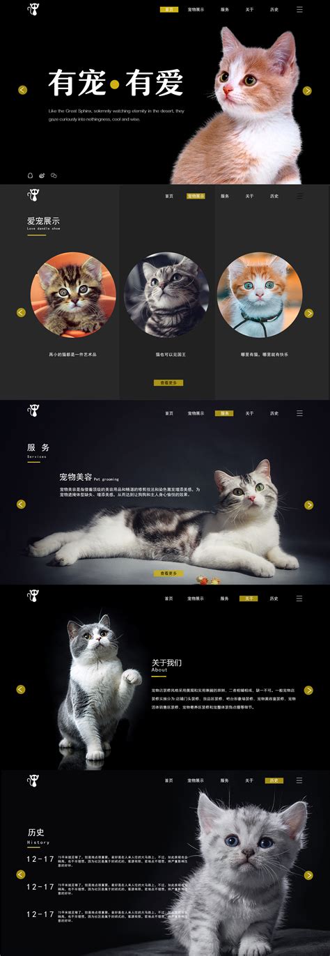 设计猫网站