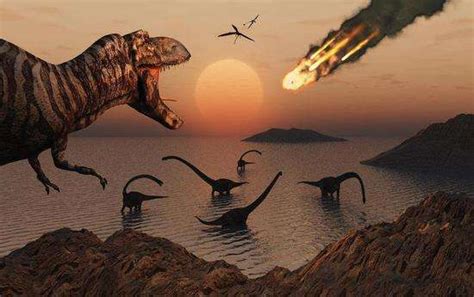 谁说恐龙灭绝了