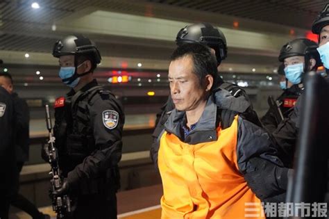 逃亡11年的A级通缉犯张承禹被枪决