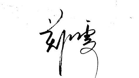郑鑫艺术签名