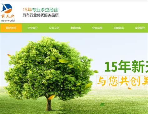 重庆专业网站推广公司
