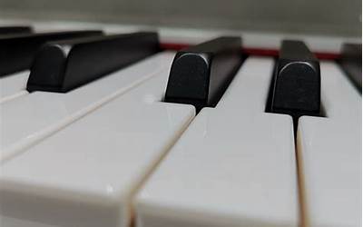 钢琴的黑白键宽度是一样吗（钢琴的黑白键宽度一样么）