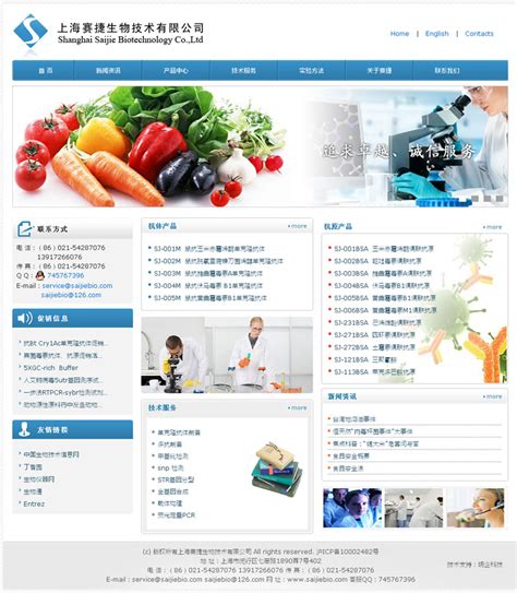 闵行网站建设优化公司