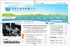 阜阳市网站建设公司