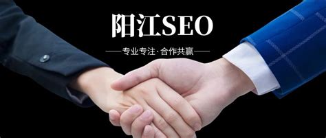 阳江企业网站seo优化