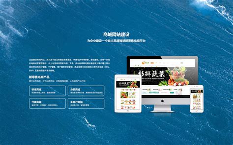 陕西营销网站优化