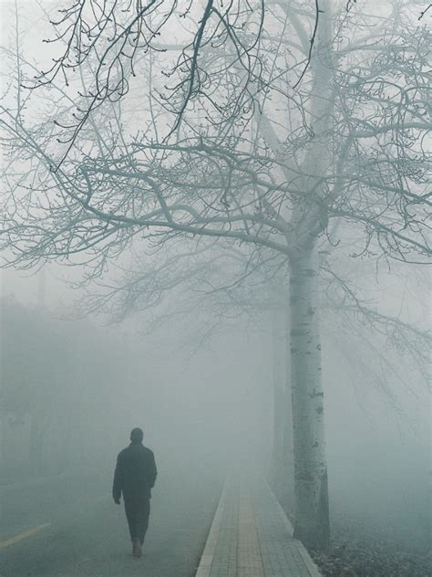 雾中风景