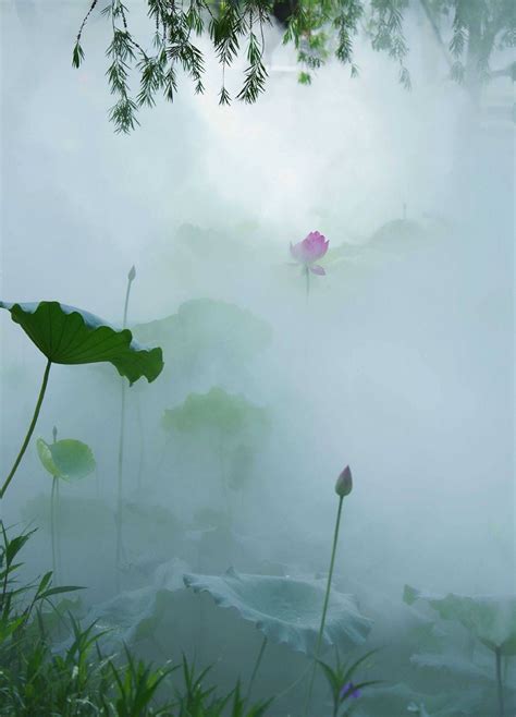 雾里看花的意思