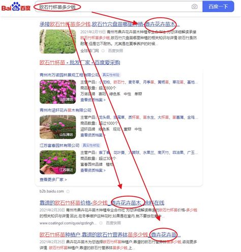 青州网站优化推广多少钱