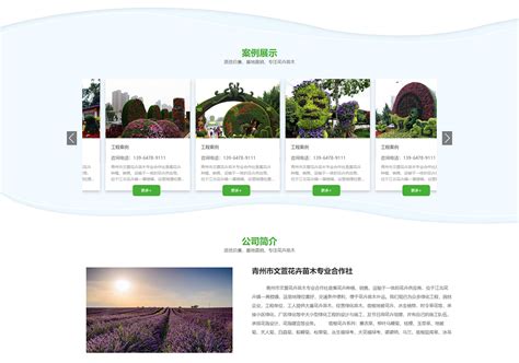 青州网站建设推广联系方式