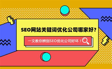 黄山seo网站排名优化哪家好