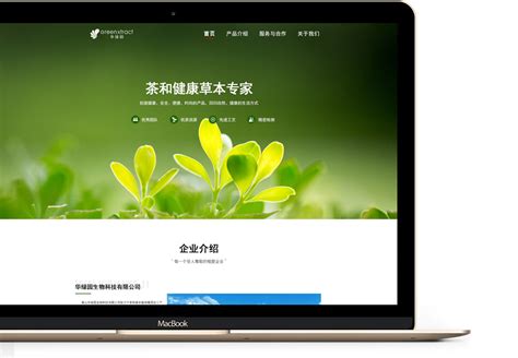 黄山网站优化品牌